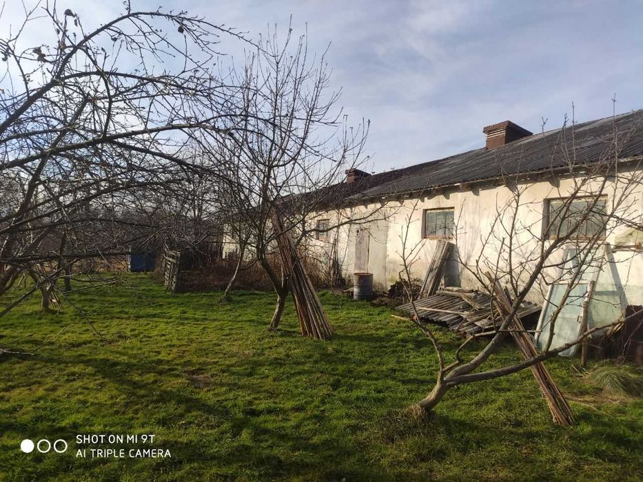 Ферма / Приміщення ферми/ сільсько господарське приміщення