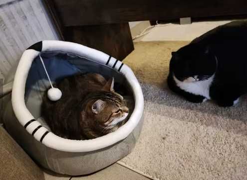Cama para gato 100% Algodão