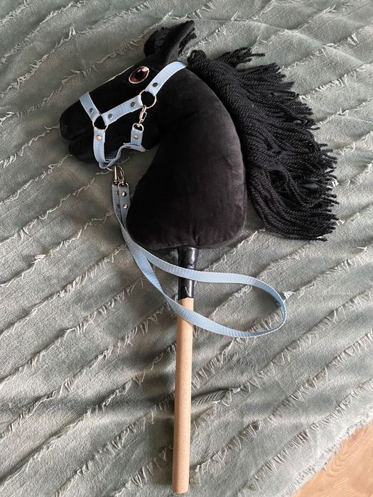Hobby      horse