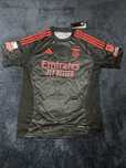 Equipamento Alternativo 24/25 Benfica