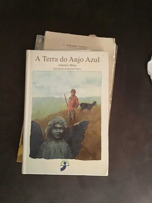 livro a terra do anjo azul