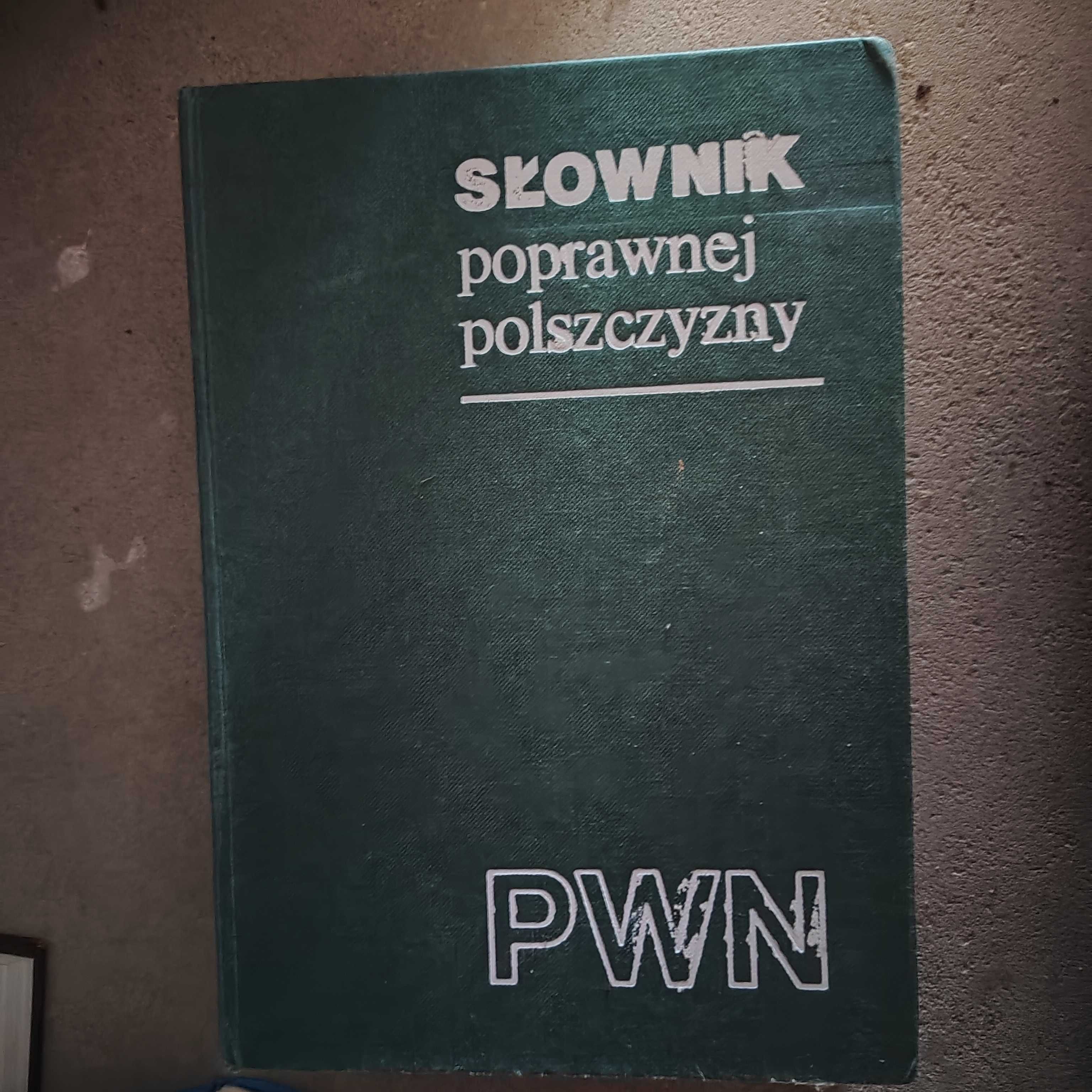 Słownik poprawnej polszczyzny