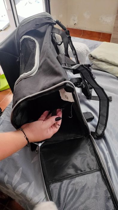 Transportadora e canil