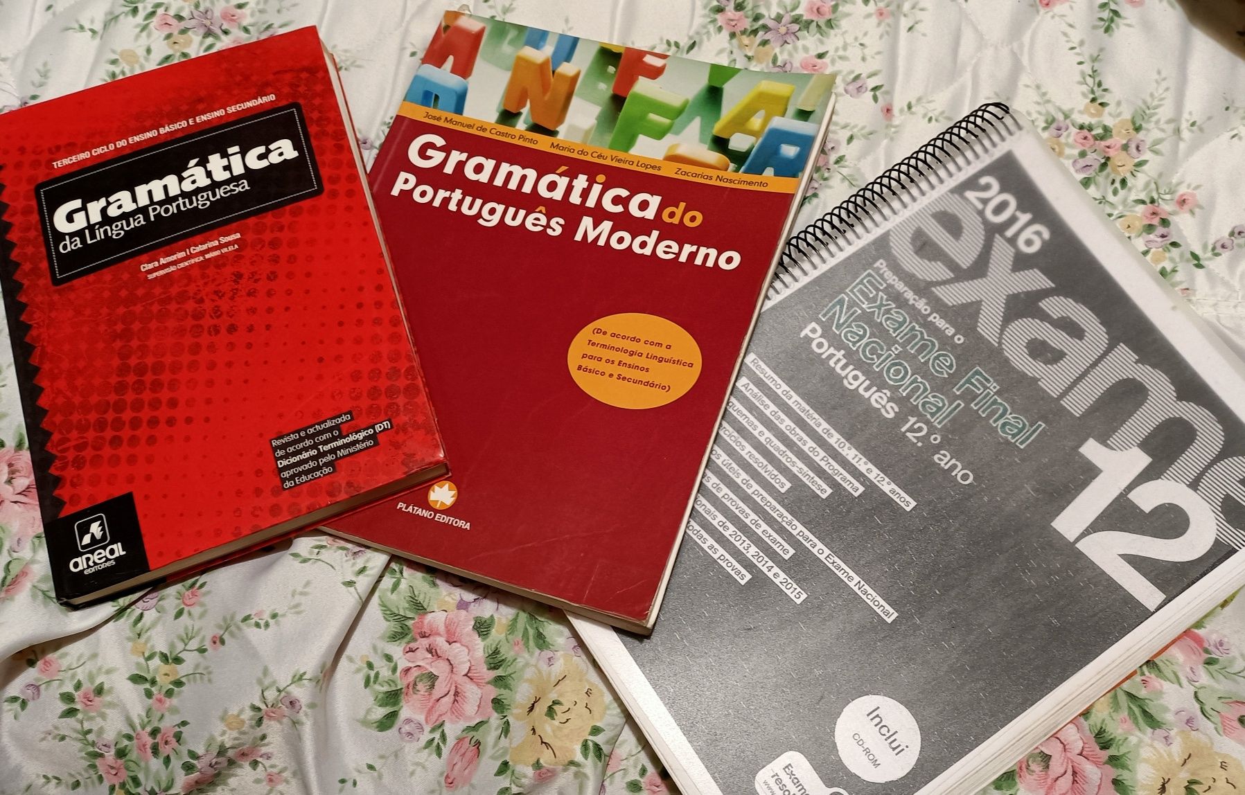 Livros dos 12. Ano