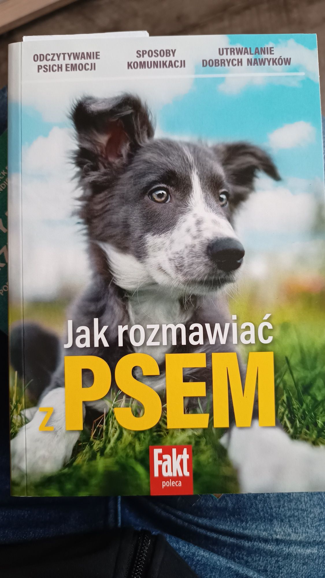 Książka Jak rozmawiać z psem