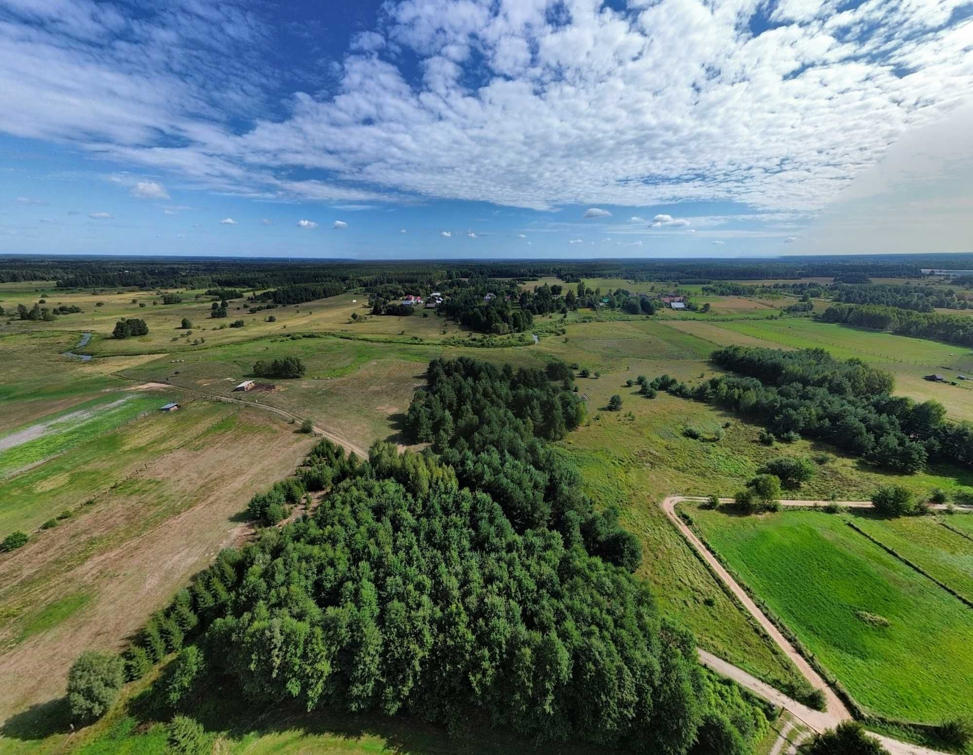 Domek "Nad Stawami"