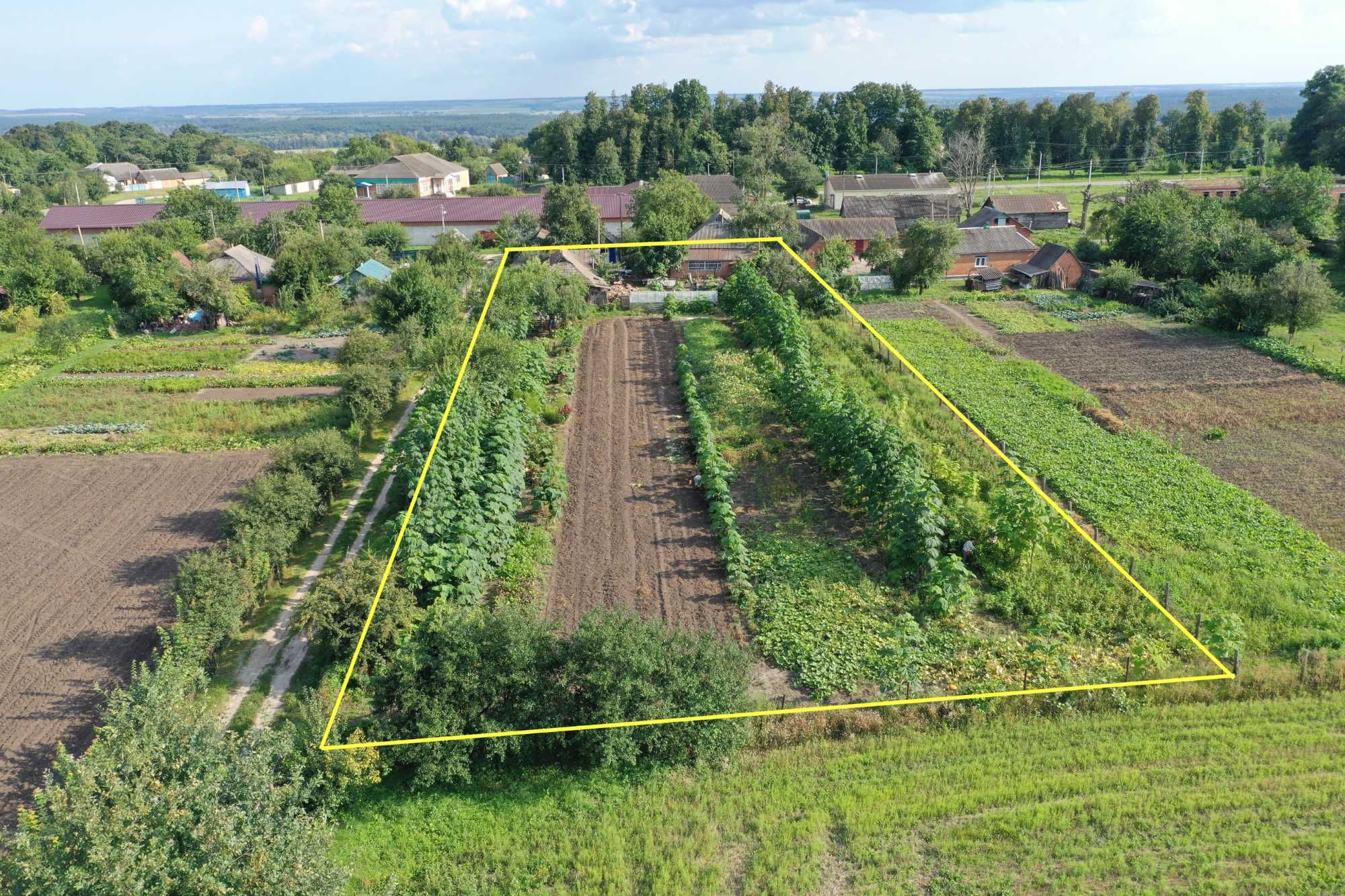 Будинок в селі з земельною ділянкою