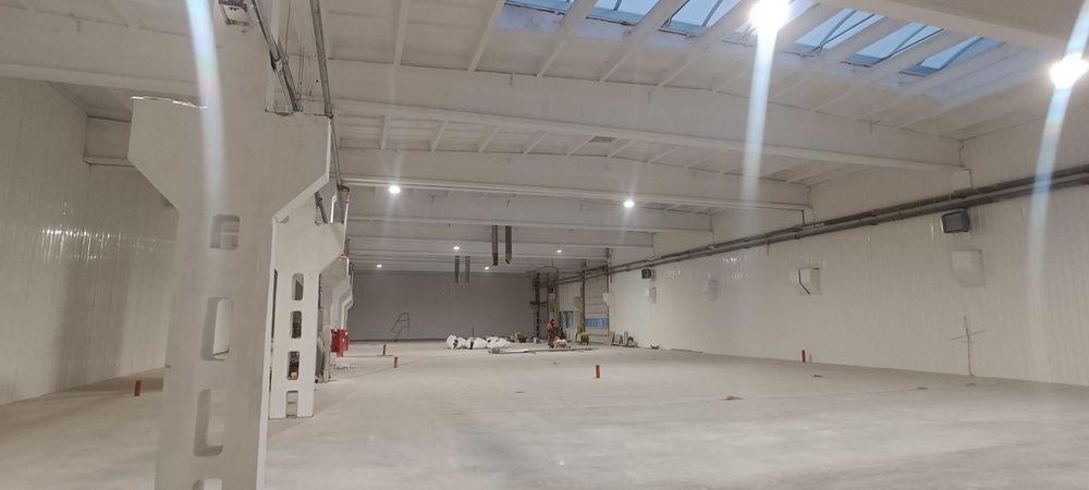 Hala 1300m2 magazynowo produkcyjna Łódź ul. Papiernicza 7