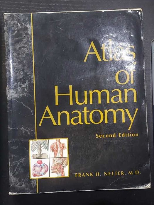 Livros Medicina Usados