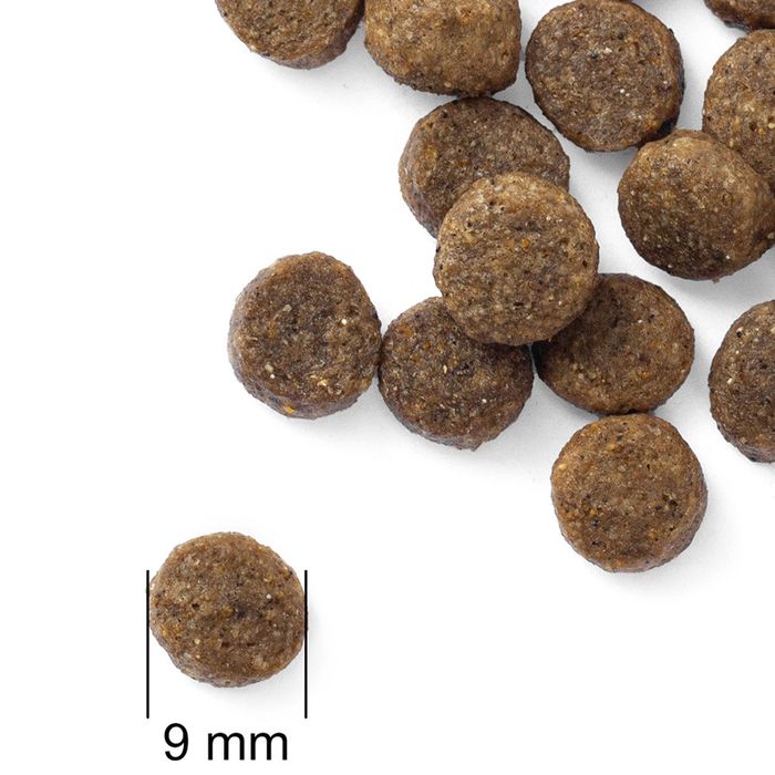 Їжа для кошенят «Здоровий старт» PRACTIK SIMPLE 1 кг