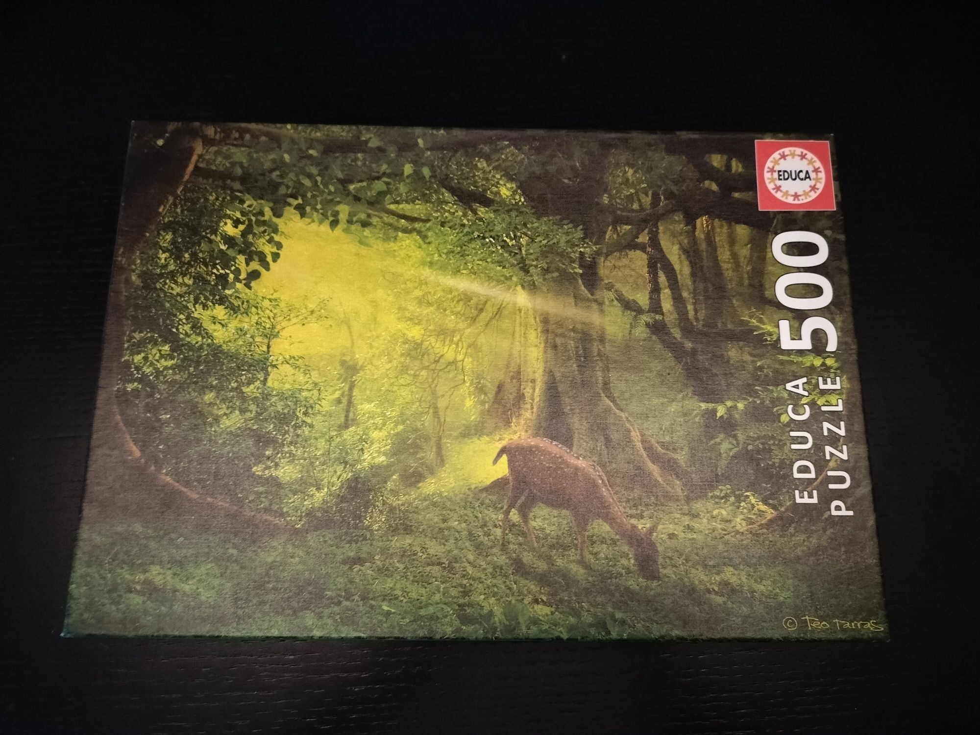 Puzzle 500 peças