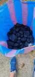 Wegiel orzech worki 25kg