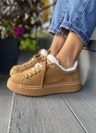 Кеды женские замшевые Steve Madden