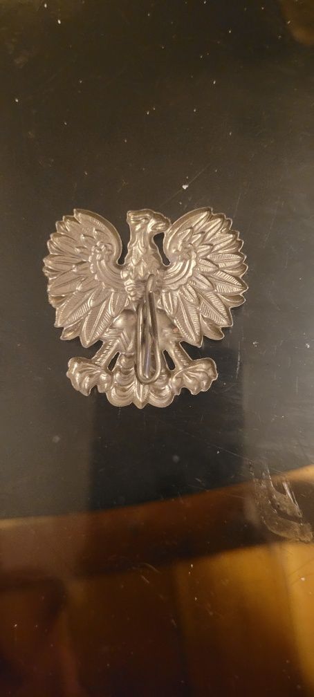 Orzełek jeszcze bez korony