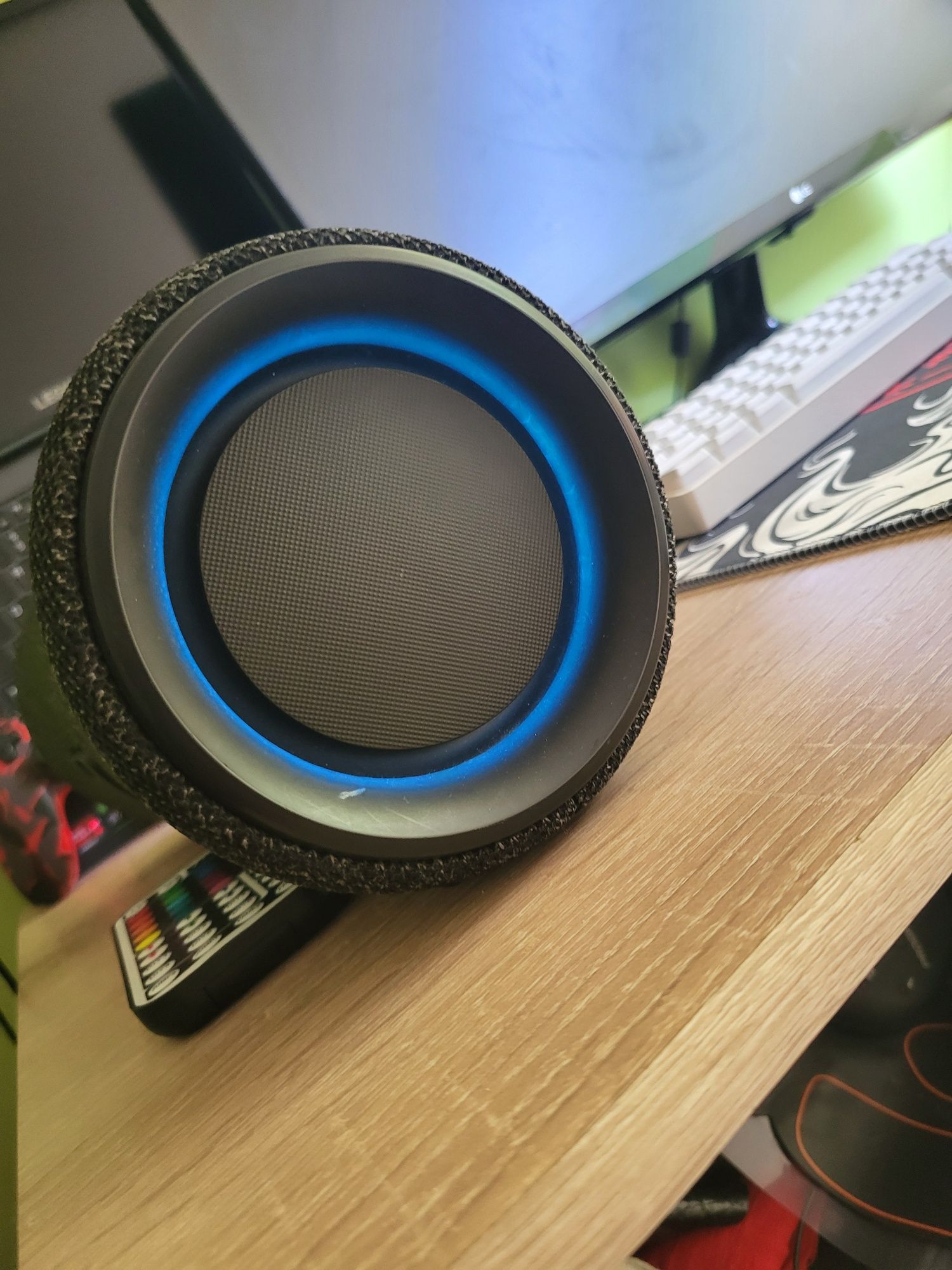 Głośnik sony sgx 300