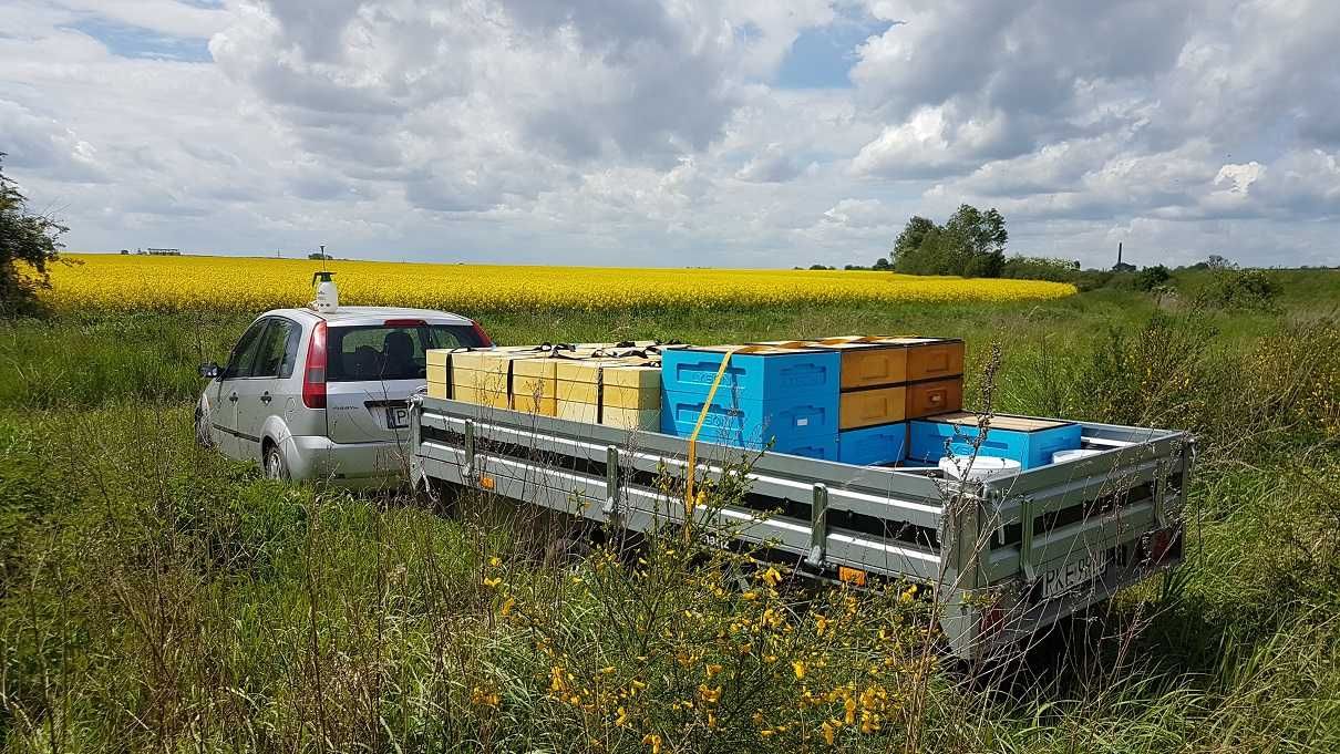 Naturalny MIÓD z własnej pasieki