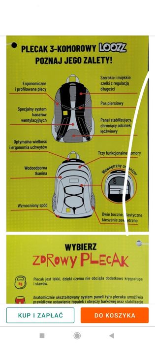 Plecak szkolny lz (loozz)