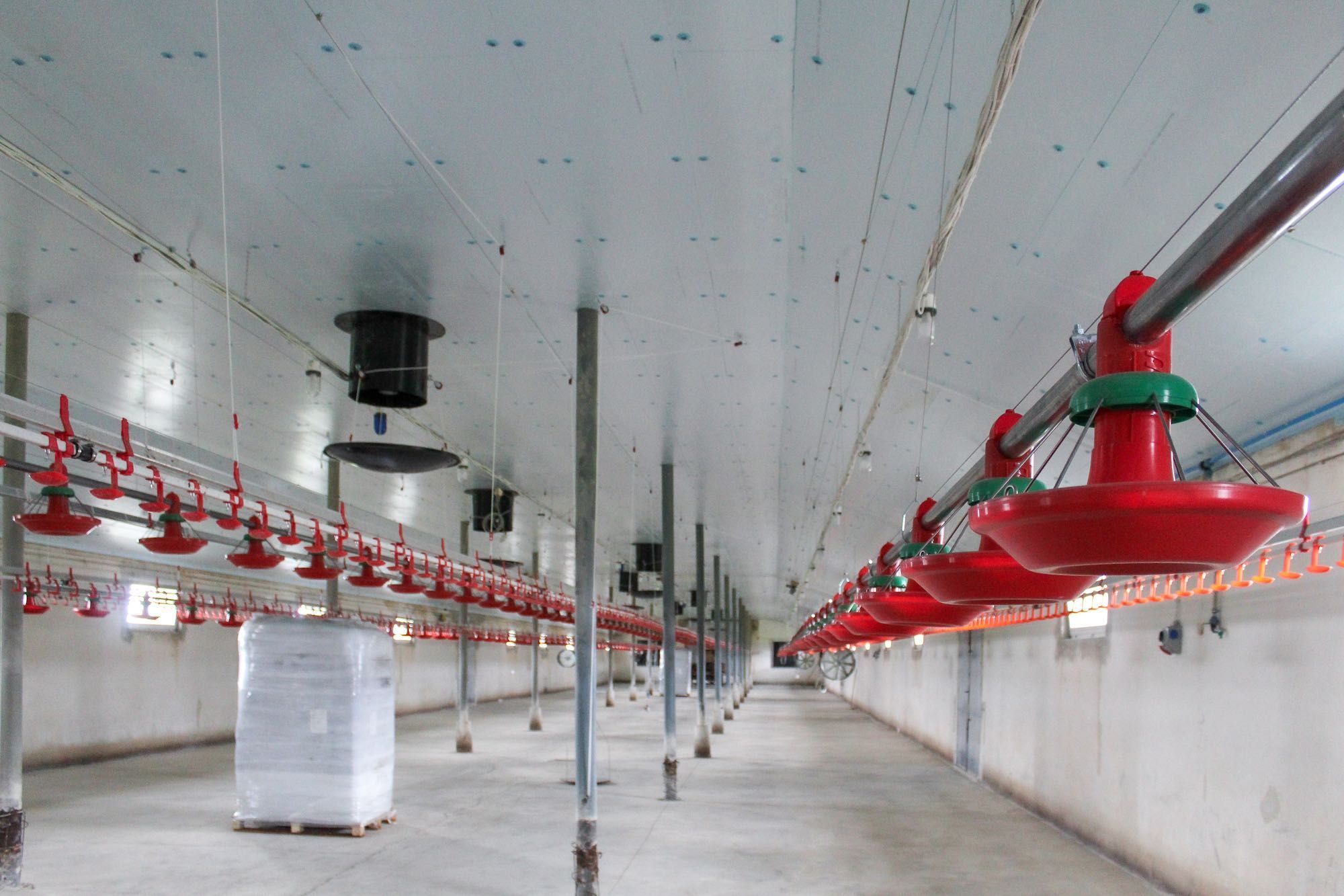 Izolacja Ocieplenie Sufit do Chlewni Obory Kurnika Styrodur XPS AGRO