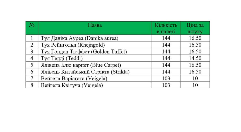 Тедді ГОЛАНДІЯ Кипарисовики Ялівці Гортензія Брабант Голд Хіксі  Хіллі