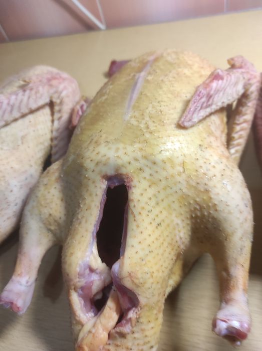 Тушка утки. Мясо утки.