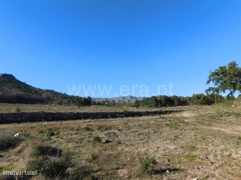 Terreno / Fundão, Castelo Novo