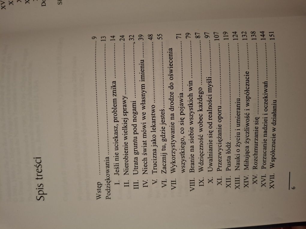 Zacznij tu gdzie jesteś  *Pema Cziedryn