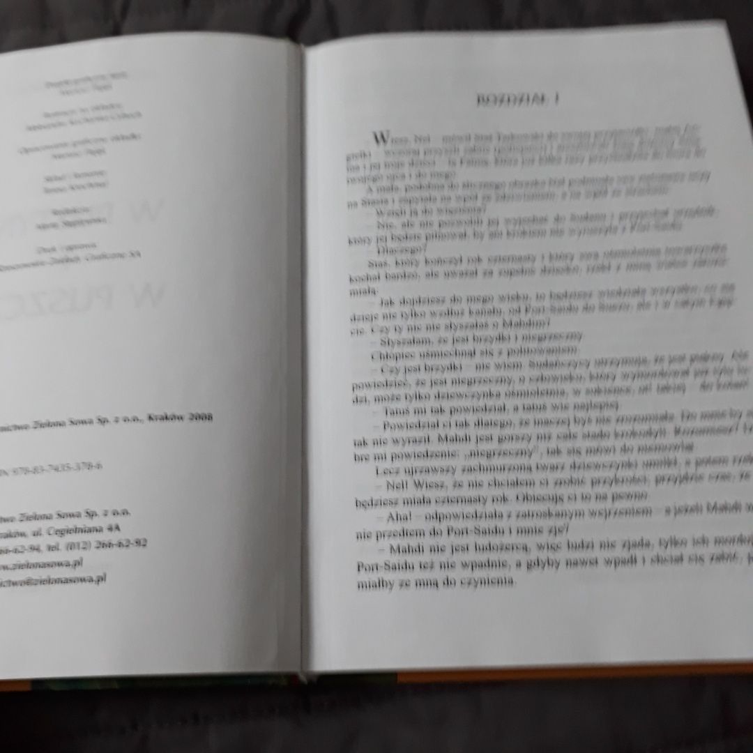 W pustyni i w puszczy H.Sienkiewicz wyd.Zielona Sowa