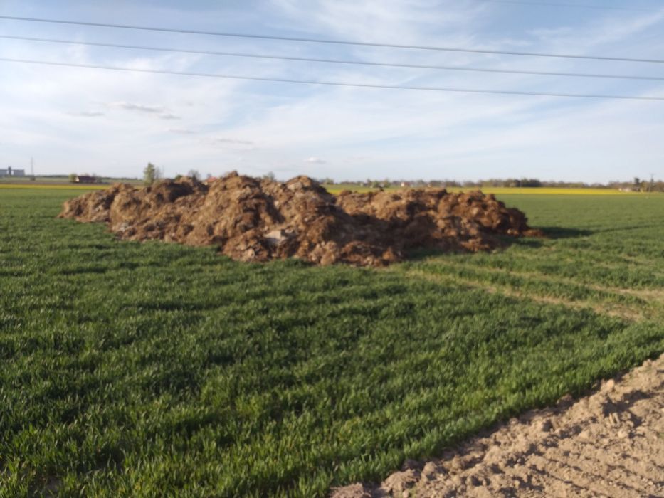 Obornik ,pomiot,nawóz