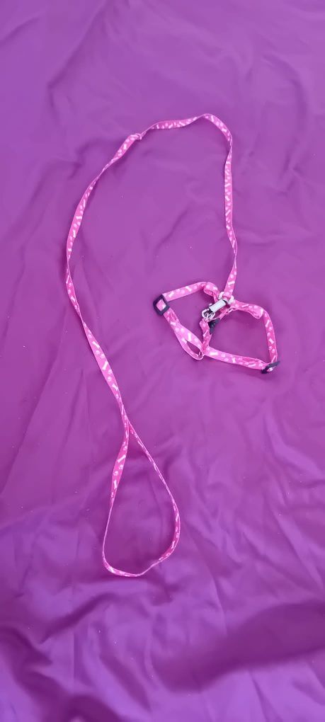 Trela para cão de porte pequeno