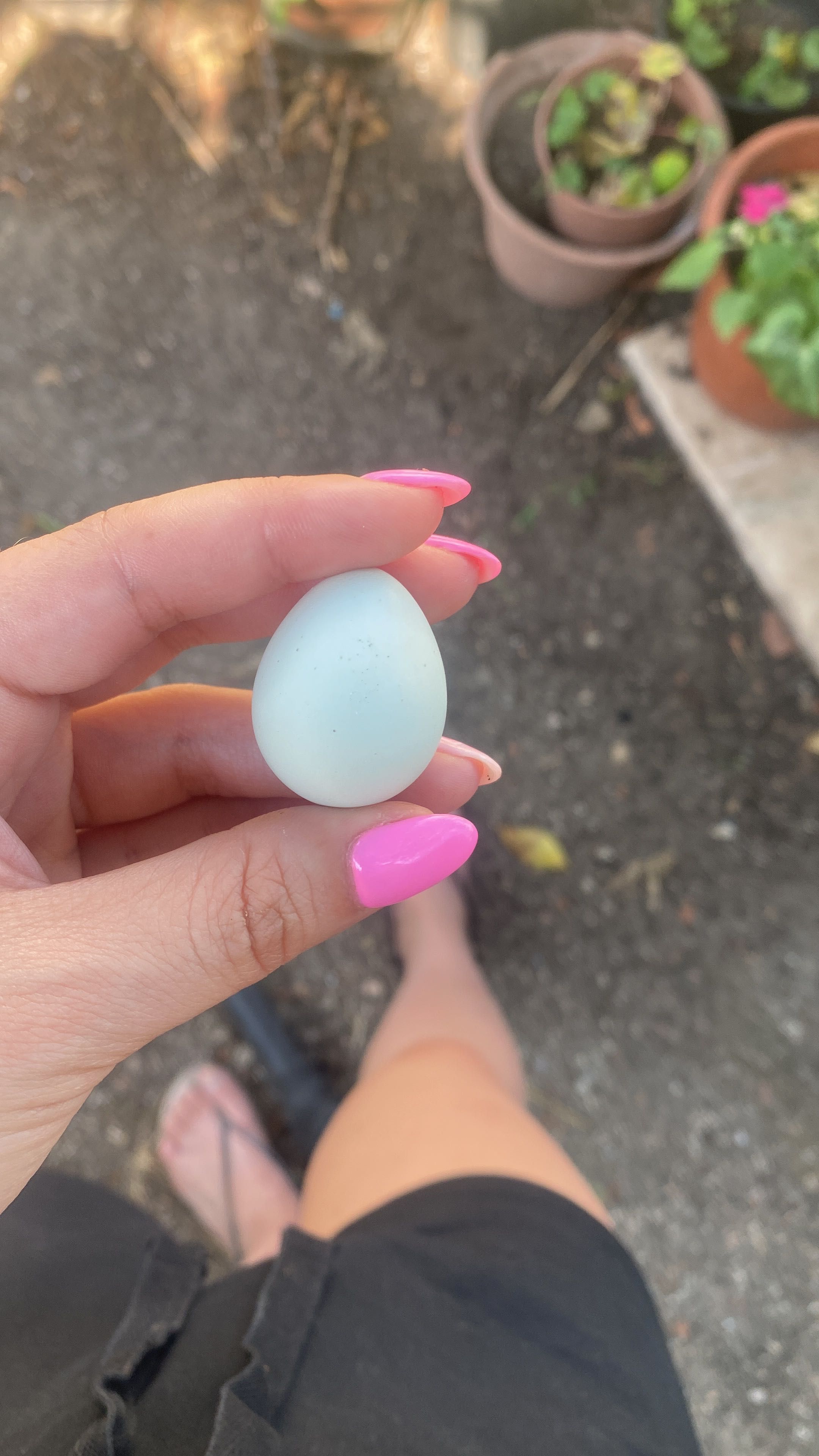 Ovos de codorniz