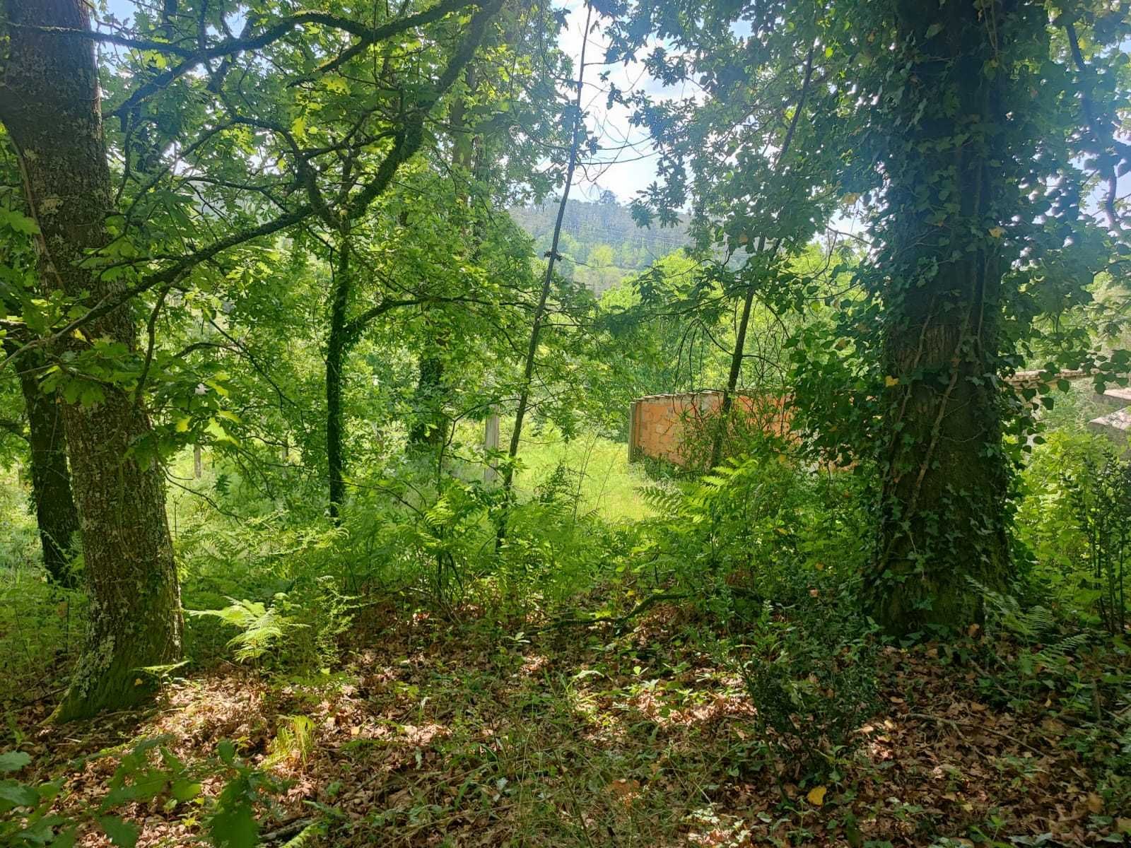 terreno em Milhundos, na União das Freguesias de Souto e Tabaçô, s/n