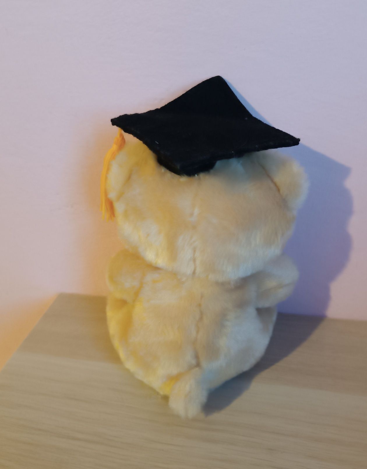 Piękna maskotka pluszak  miś student 22 cm