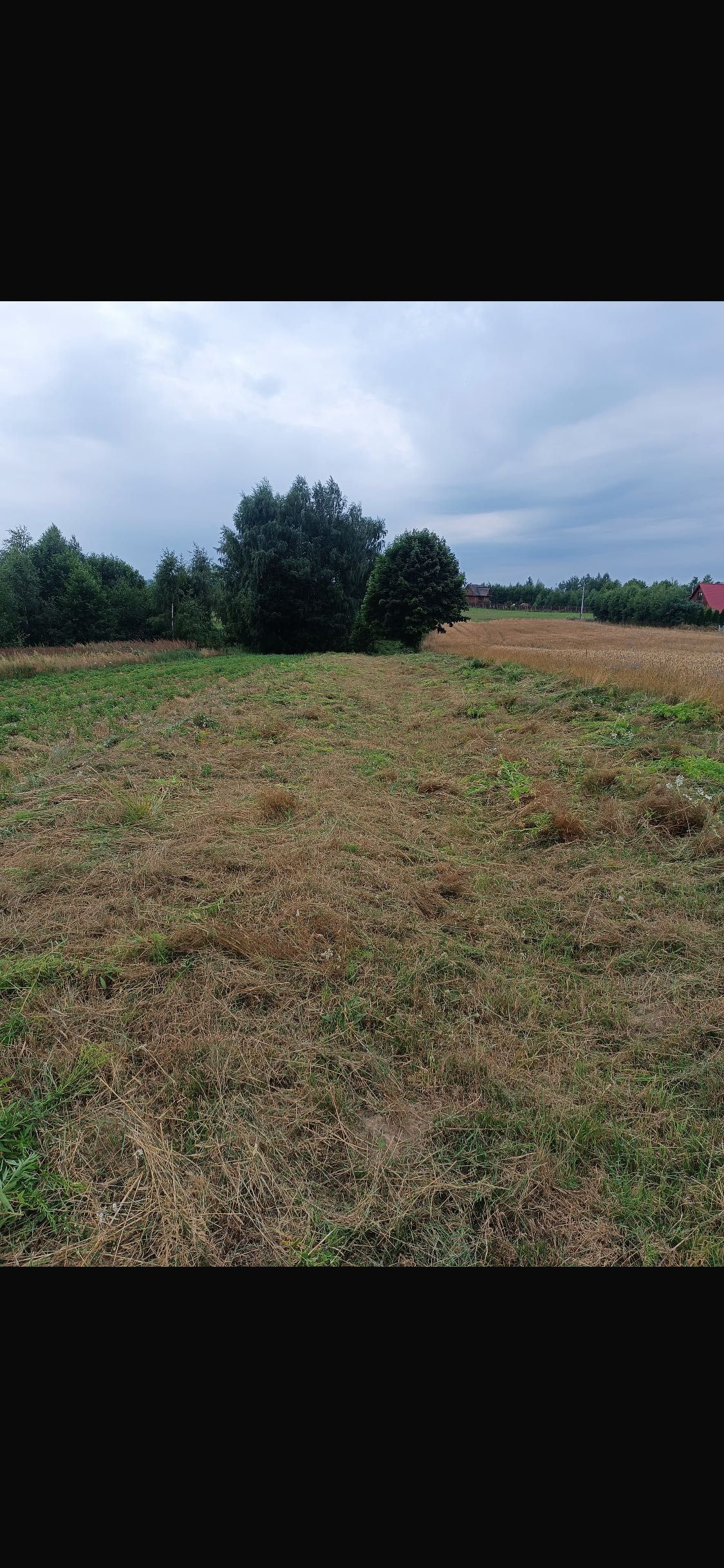 Sprzedam działkę rolną we wsi Kamionka , gmina Bodzentyn