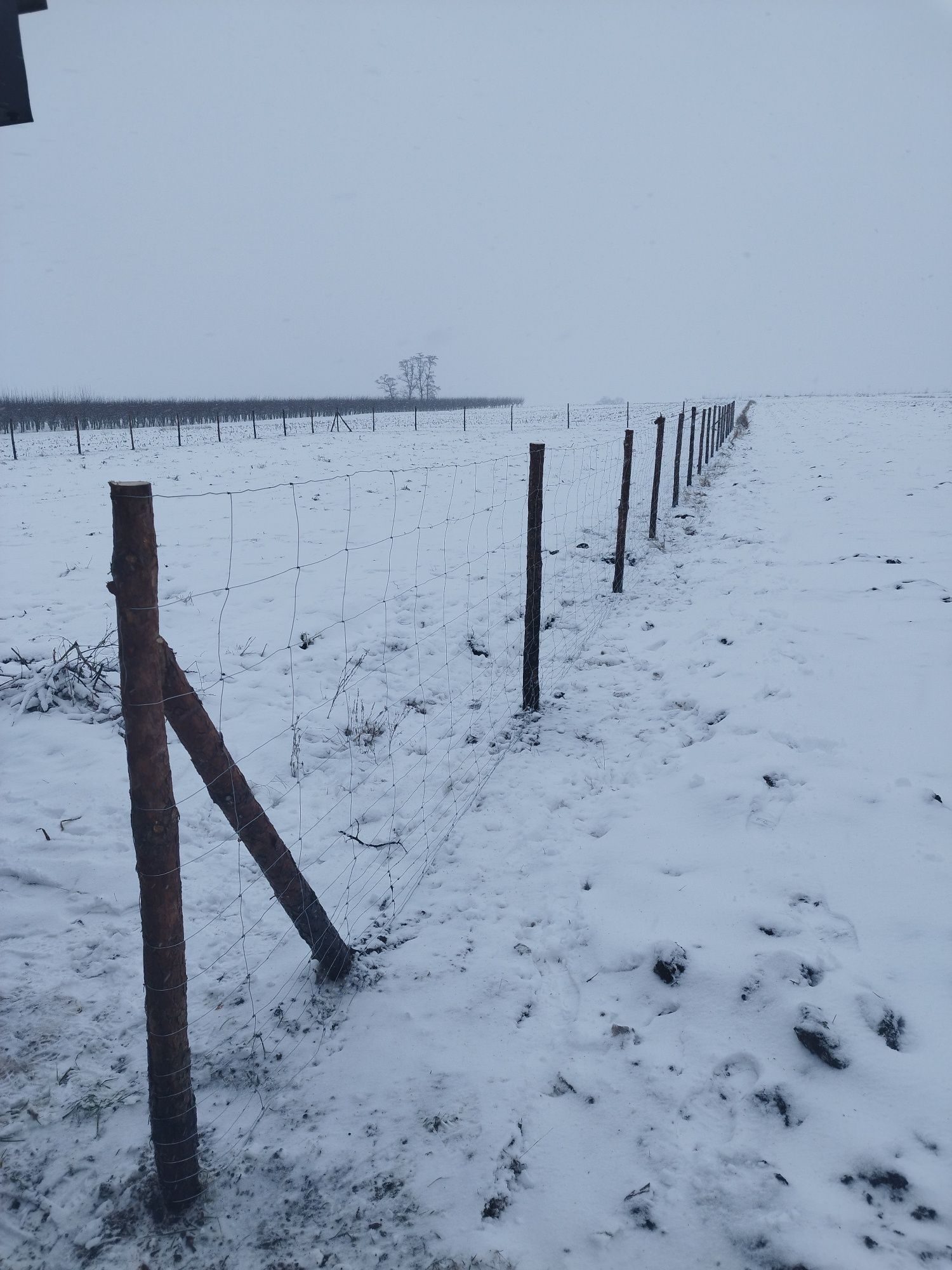 Ogrodzenie leśne, tymczasowe, budowlane