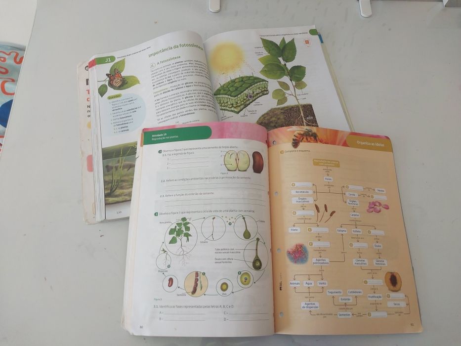 CienTIC - ciências naturais 6° ano