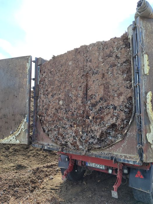 Torf pieczarkowy grzybnia kompost obornik