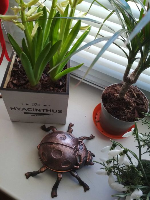 Пепельница, шкатулка, жук скарабей, божья коровка, Интерьерная вещь.