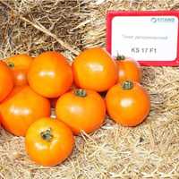Семена томатов (помидор) Нукси F1 (KS 17 F1)