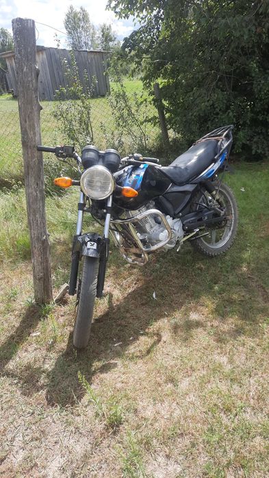 Bird 125, небитий не крашений!