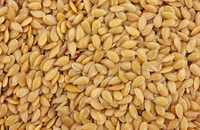 Семена льна золотого цена указана за 100 грамм