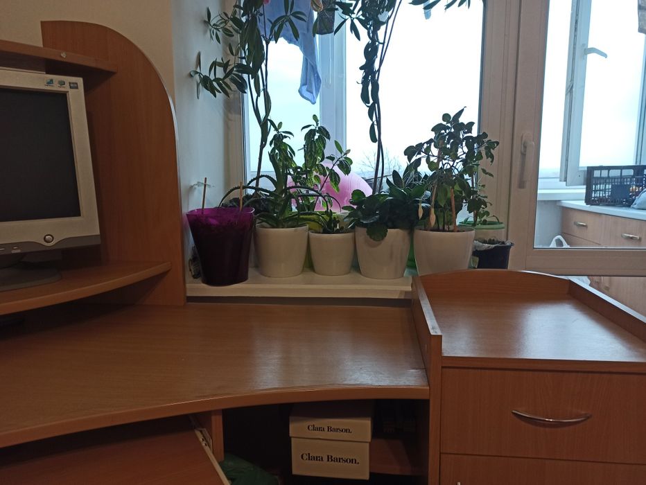 Стіл комп'ютерний кутовий