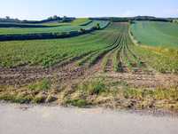 Działki rolne o łącznej pow. 3.6 ha Łapszów gm. Koszyce