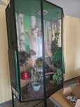 Terrarium szklane duże