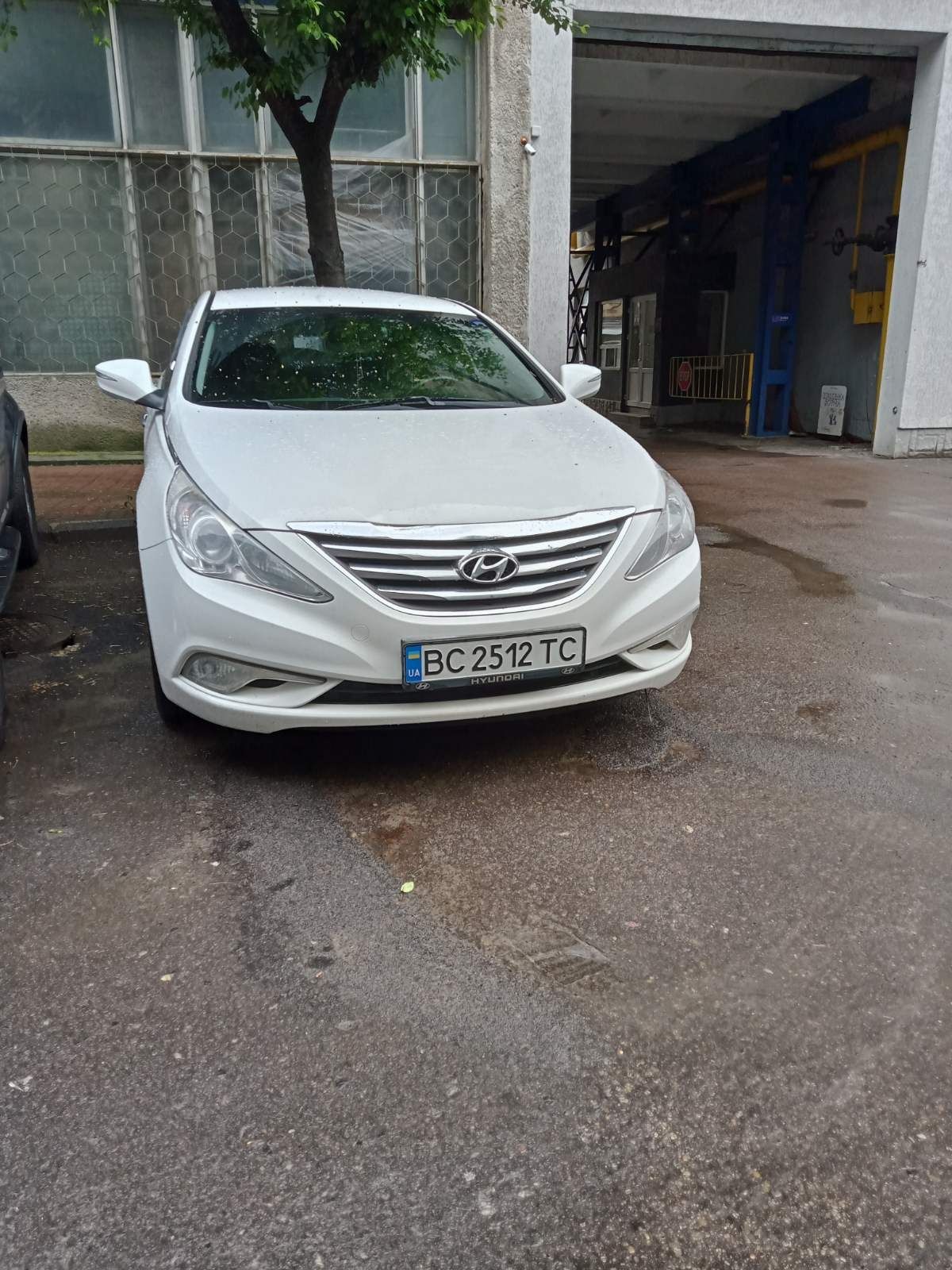 Здам в оренду авто