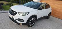 Opel Grandland X 2.0 CDTI 177KM Aut. DENON FullLED Navi Kamery360 Grzane WentylowFotele
