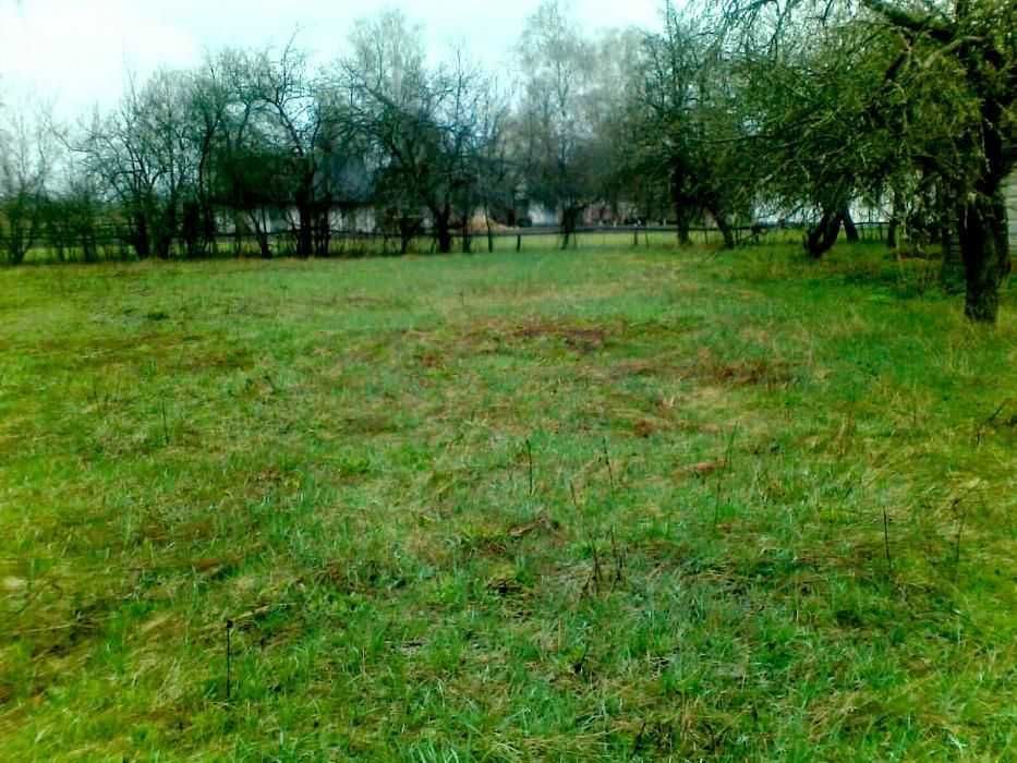 Продається будинок, Ратнівський рн., с.Комарово