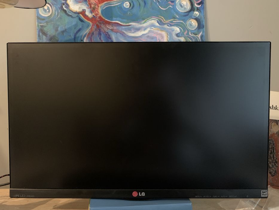 Монитор lg 24 + кронштейн