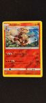 Pokémon - Arcanine 22/149 (Sun & Moon)
