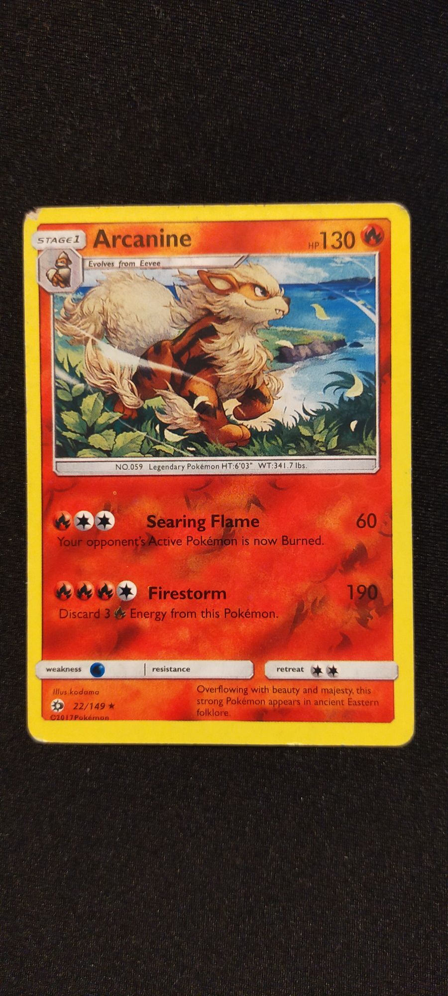 Pokémon - Arcanine 22/149 (Sun & Moon)