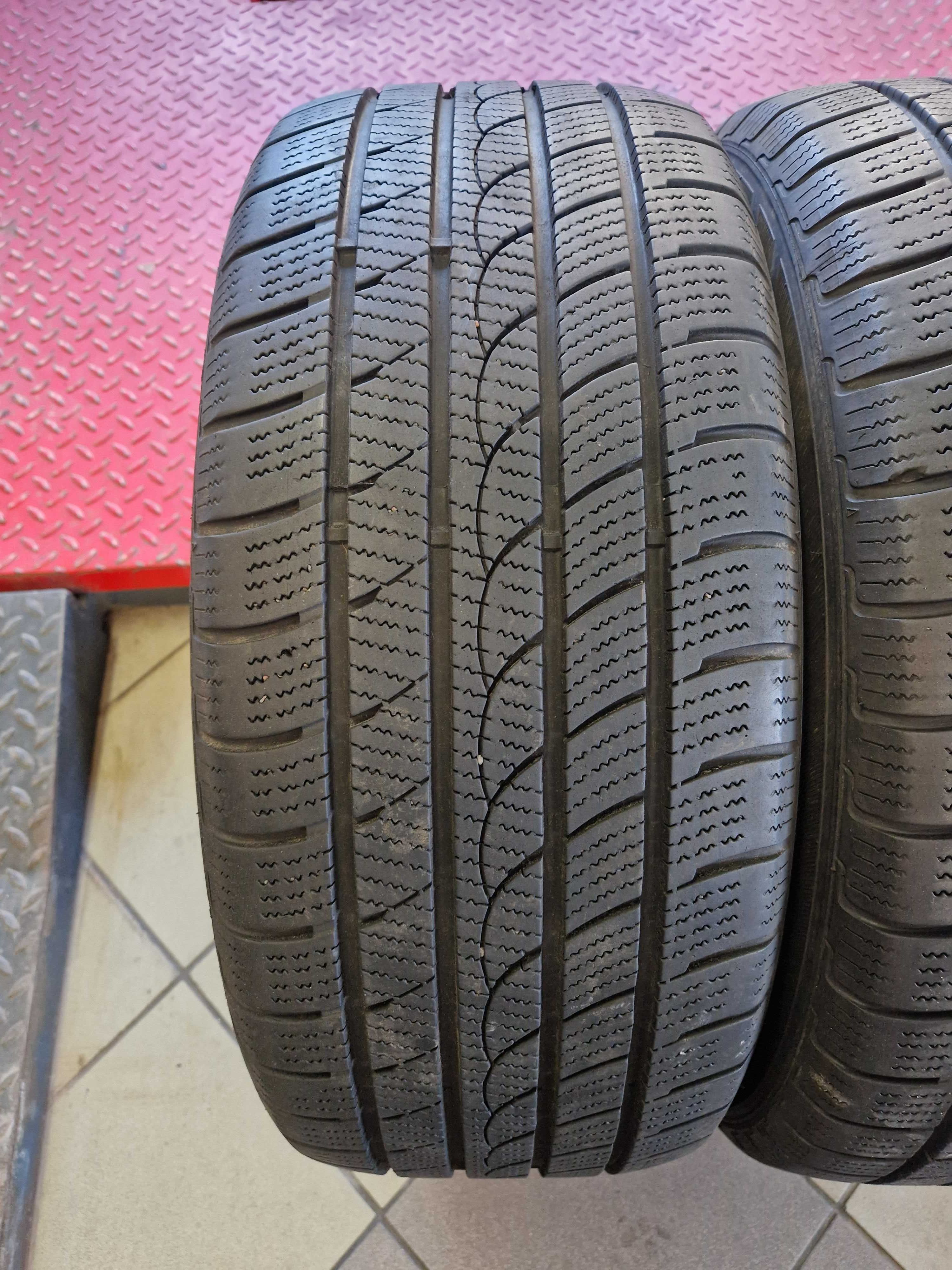 Minerva 255/55R18 Ice-Plus S220
